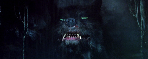 jellymonstergirl: The NeverEnding Story (Wolfgang Petersen | 1984)  