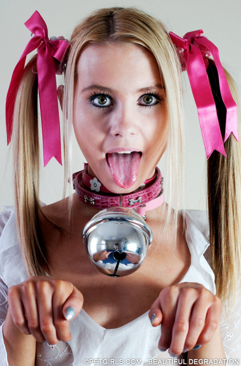 bimbopuppy:  arff