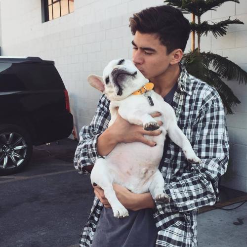 ihemmingsluke:Calum + Gizmo 
