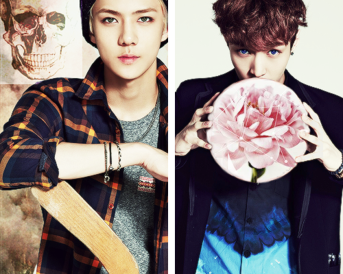 vouex:  simple graphics of exo`s season greeting 