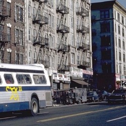 DIRTY OLD NEW YORK