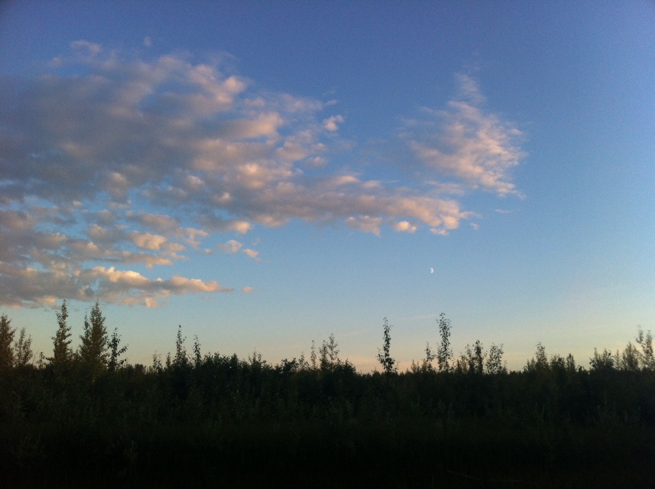 Alaska on the 4th