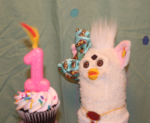 Today, 5/14/2019, is LongFurby’s FIRST BIRTHDAY!Please enjoy this photoshoot of her having a t