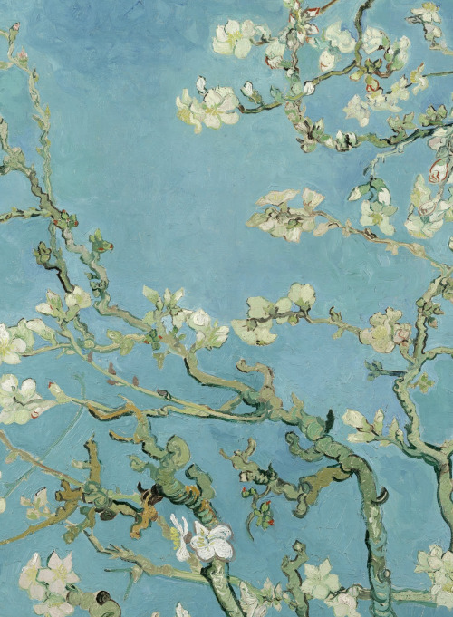 seeliequeene:  Almond Blossom (detail), Vincent Van Gogh, 1890 
