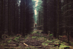 brutalgeneration:  Devilla Forest (by Richard