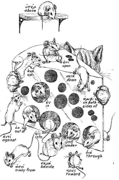 tabbystudyblr:incredibly good photo of little rats, with ancient greek particles to learn