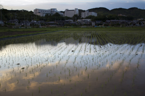 japanlove: Cloudy fields, by Japanresor (CC BY-SA).