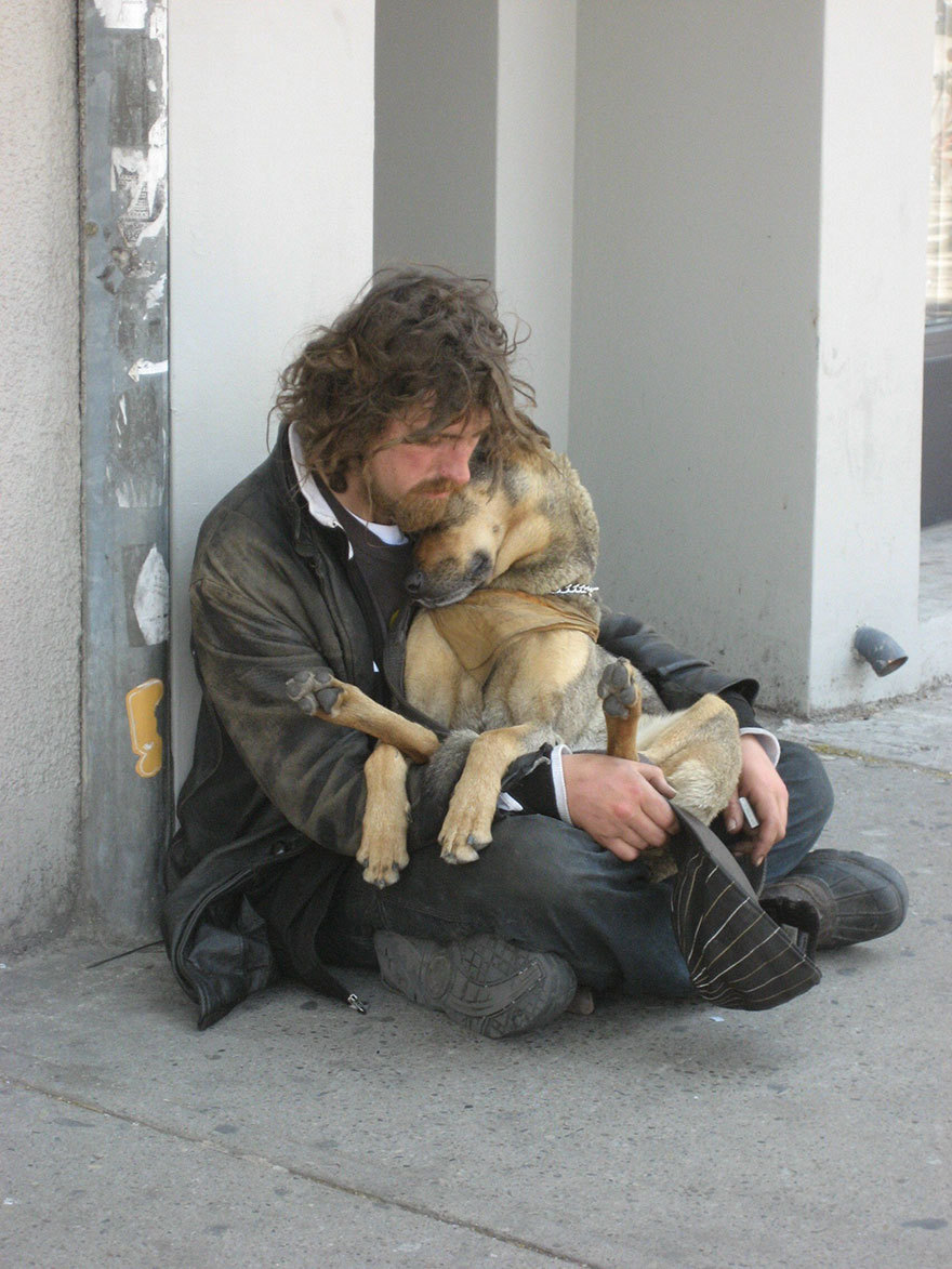 “Once a dog forms a close relationship with a caring owner, their loyalty can be