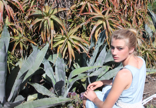carcaize:  laziests:  shot #108 of lauren, 5/20/13  indieee 