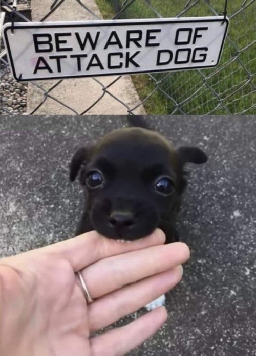 Hiii
