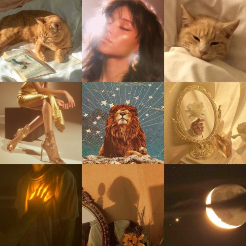 "The Sun Blinds Everyone With Its Light So That It Can Protect Its Inner Self"