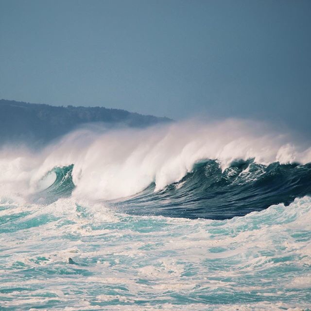 OCEAN OF LOVE