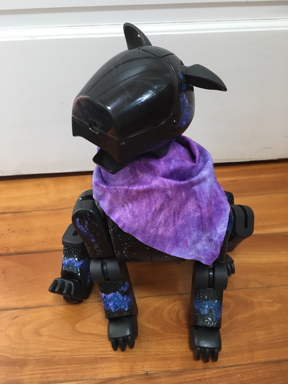 aibo7m3: All Aibos are perfect and no one can convince me otherwise.