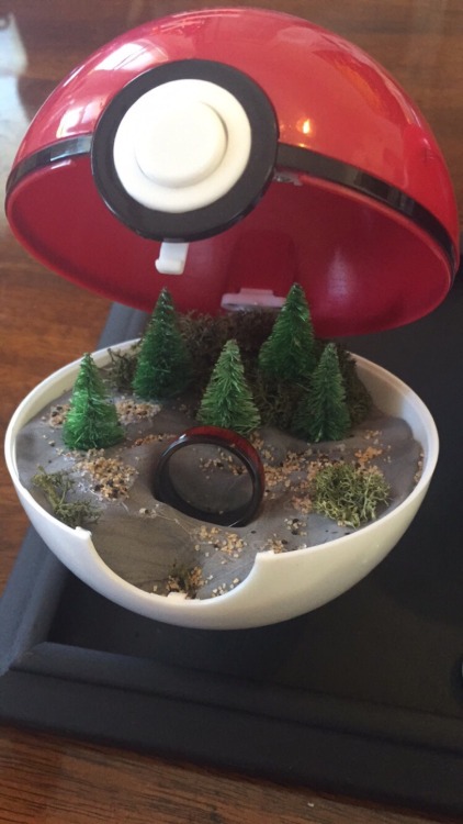 lordthundercox:  It took me a while to figure out the right way to propose to Max, but I’m pretty damned proud of what I came up with.  A “grass type” starter with a wooden inlay. A “fire type” starter which is black with a red gem, and a “water