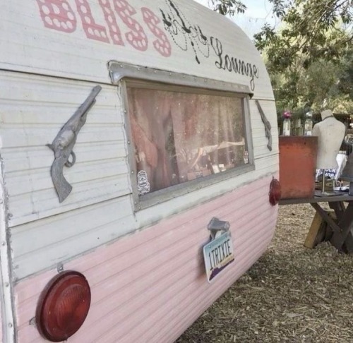 Cheap Trailer Trash And Everybody Knows It 