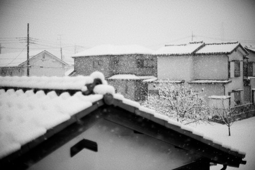 kienai: 午後の大雪 Snow Afternoon (by sunnywinds*)