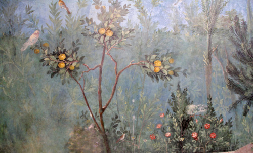 lostprofile:  VILLA OF LIVIA, PRIMAPORTA  Second-style frescoes from the villa suburbana at Primapor