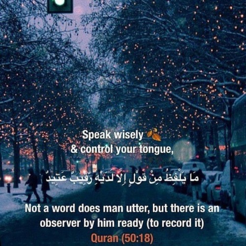 dawah-bro: #islam#islamic#islamicquote#islamicquotes#islamicreminder#islamicreminders#tongue#dawah#m