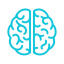 brain-cortex