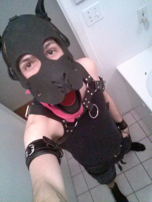 pupbrewstr:  pup-alako:  Puppy wanna go take a ride outside! ^^  Awwwww someone take this Pup to the park. 