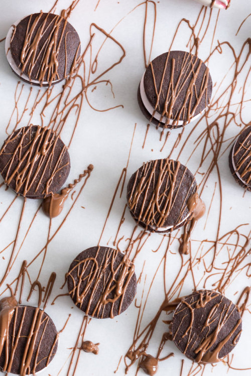 sweetoothgirl: chocolate orange sandwich cookies with blood orange marshmallow