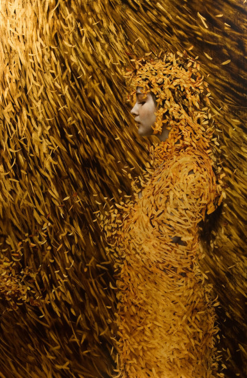 Brad Kunkle 