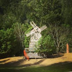 #tanoakpark #mendo #windmill #hwy101 #leggett