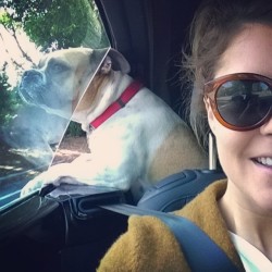 Gracehelbig:  Oh, Sorry Other Dogs I Can’t Hear You Im In A Fucking Car.