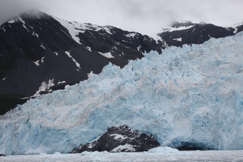 kristenwatso:  Kenai Fjords National Park