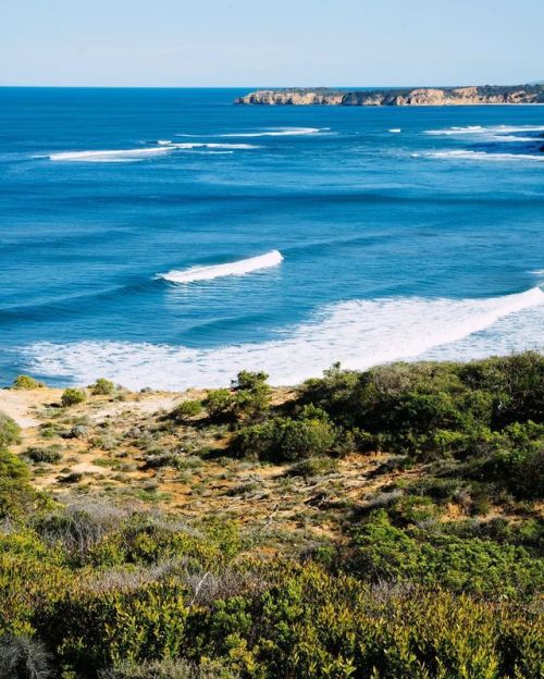 Australia, you are great can’t wait to come back #Australia #greatoceanroad (at Bells Beach) https:/