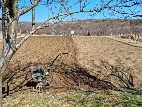  After an entire winter of doing little to no physical work, tilling took me out yesterday. 