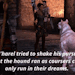 bluecadash:Ever since, the Dread Wolf thinks twice about playing his tricks when