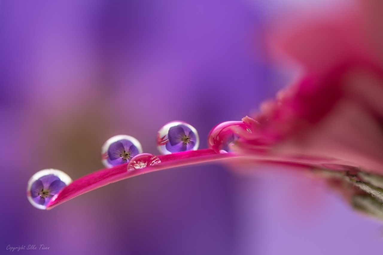 hardsadness:  by by Silke Tüxen