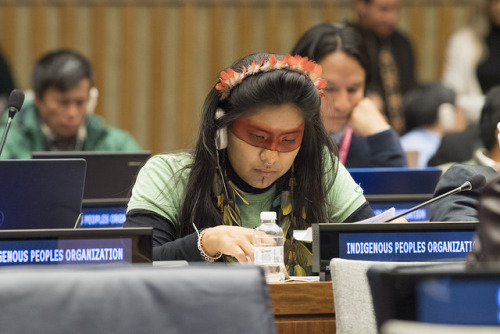 scripturient-manipulator: united-nations: The Permanent Forum on Indigenous Issues is now taking pla