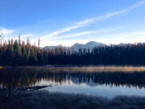 Stumbled upon this incredible view while hunting in Northwest Montana