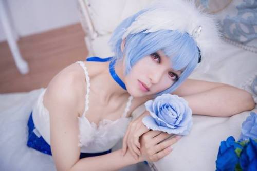 Rei Ayanami - Arger Yang