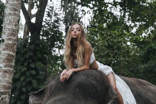 inka-williams: In a perfect world, wildlife sanctuaries would be obsolete and animals would roam f