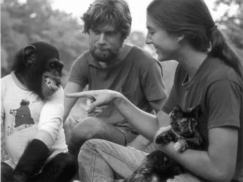 Obit of the Day (Historical): Washoe (2007)Beatrix and Allen Gardner believed that chimpanzees could