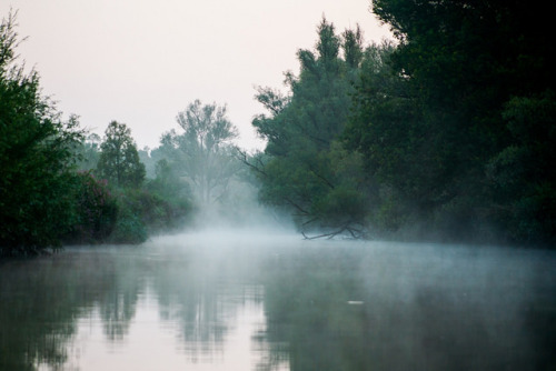 Dutch Jungle by Maaltijdsalade on Flickr.