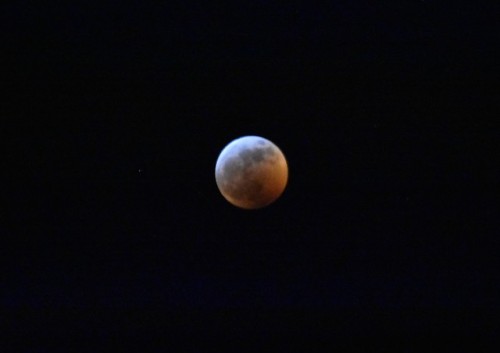 coldethyl71: coldethyl71, the super blood wolf moon jan 2019