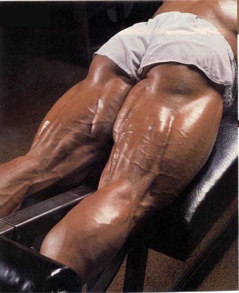 Muscle Power