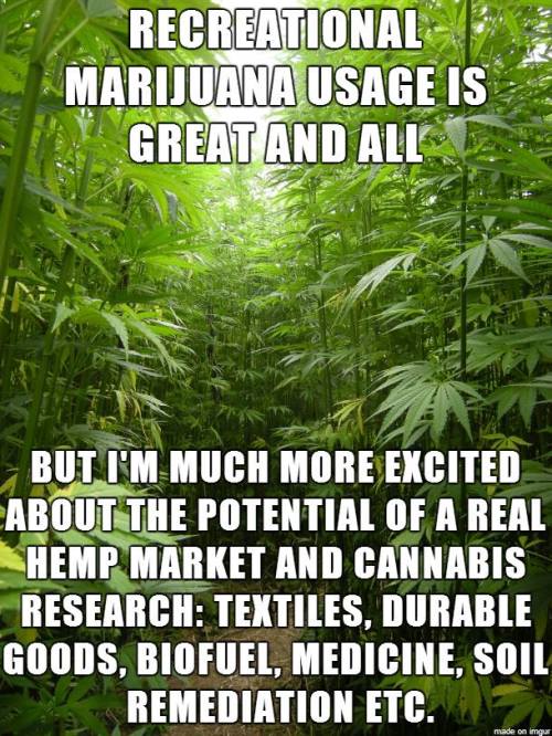 nekomarie:  surfer-rosa3:  carlboygenius:  Hemp is a Sensible, Sustainable, Highly-Industrializable Plant We should utilize it. Hemp could solve many problems. END PROHIBITION. It is NOT just about smoking.  YEP.  THIS THIIISSS  Wow, the pros seem to