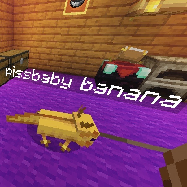Axolotl Minecraft Explore Tumblr Posts And Blogs Tumgir Axolotl Minecraft Explore Tumblr Posts And Blogs Tumgir