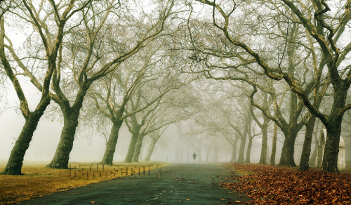 fairytale in victoria park (by Ray Wise)