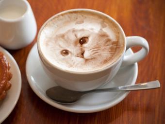 sourcefieldmix:archiemcphee:Japan is currently hooked on awesome latte art and we love these photore