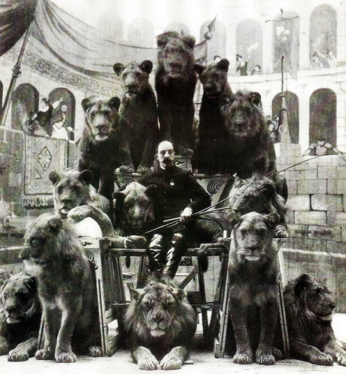 historicaltimes:  The Lion Tamer of the Russian circus, Captain Jack Bonavita, poses with some of his lions. 1905. kirbyfood:MORE INFO 