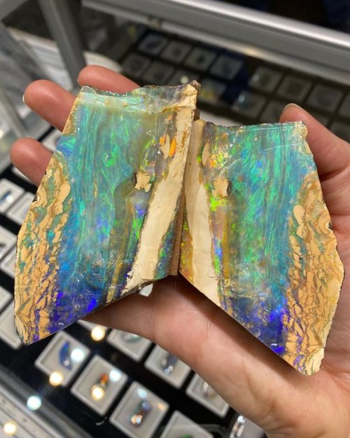 geologyin-blog:Totally in love! Gorgeous boulder opal From AustraliaPhoto: Broken River Mining