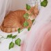 rosypotions:Fairy princess. 🍃🧚‍♀️