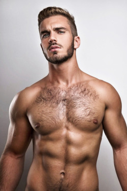 gay bisex Italia