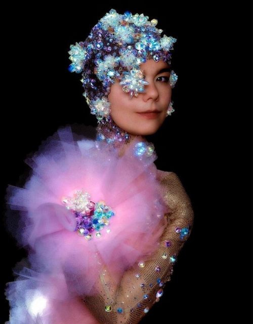 frankiethebaron: Bjork